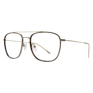 Paul Costelloe 5230 Titanium Glasses