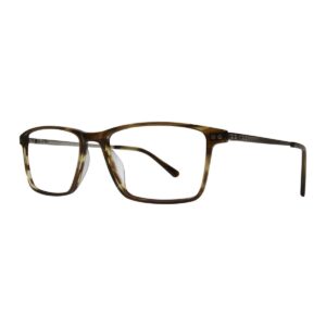 Paul Costelloe 5240 Glasses