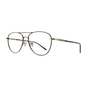 Paul Costelloe 5248 Glasses