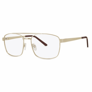 Zips Glasses ZP 4482T
